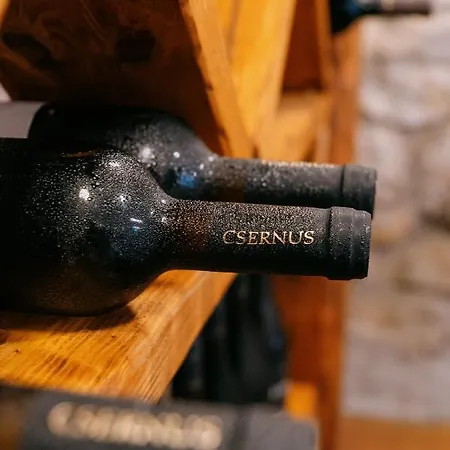 Loft Fabrika 아파트