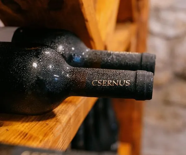 Loft Fabrika Apartmán